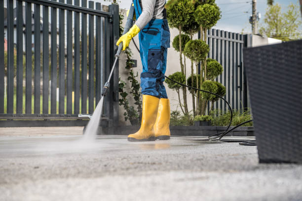 Best Concrete Sealing  in Cheboygan, MI