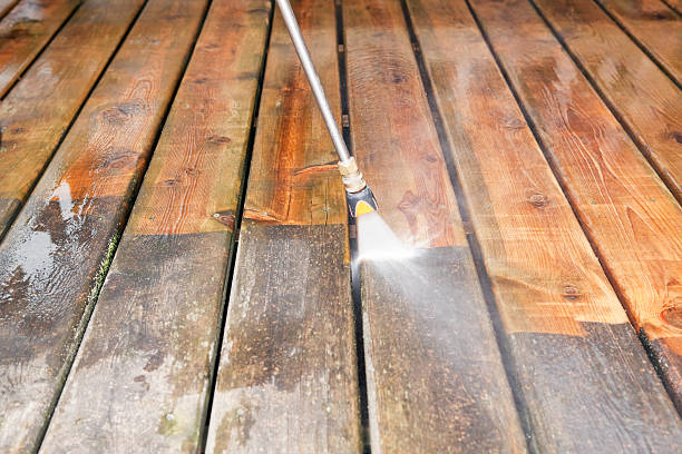 Best Driveway Pressure Washing  in Cheboygan, MI