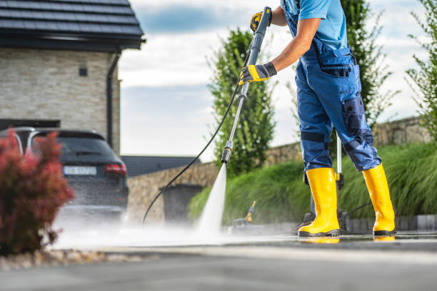 Best Soft Washing  in Cheboygan, MI